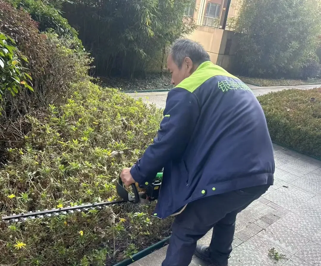 春风拂面，万物“梳妆”正当时