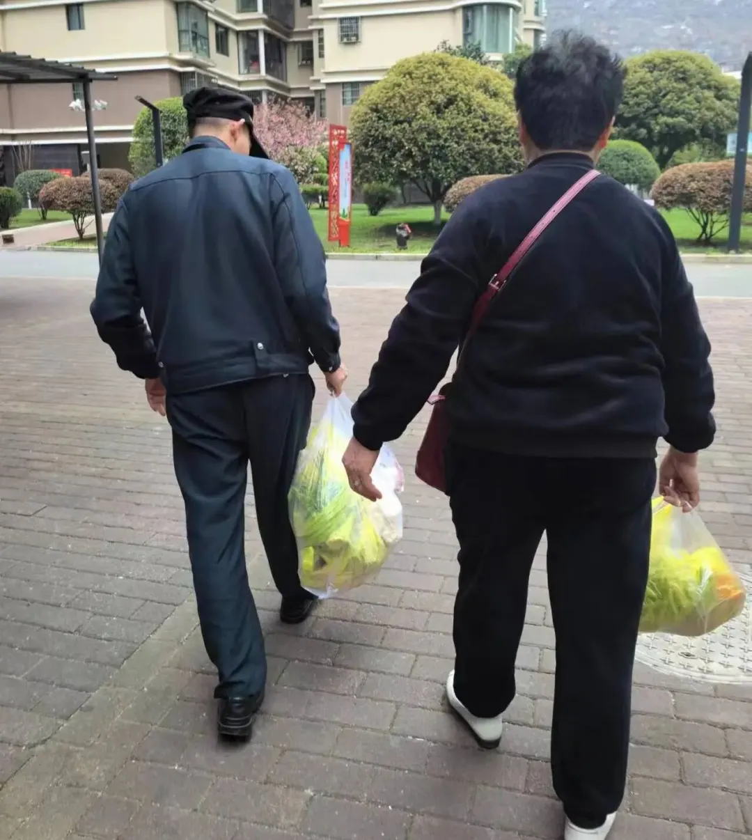 不止是守护，更是温暖